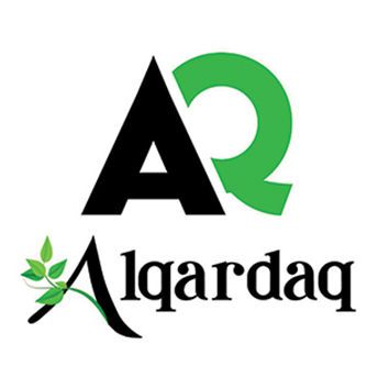 Logo 6